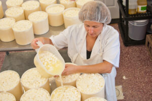 из чего делают сыр