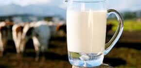 нормализация и пастеризация молока
